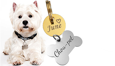 Médaille chien gravée acier inoxydable doré ronde - Taille M (22 mm)